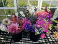 DIY Bucket of Flowers
