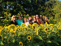 Sunflower Bloom Bar - August 7th