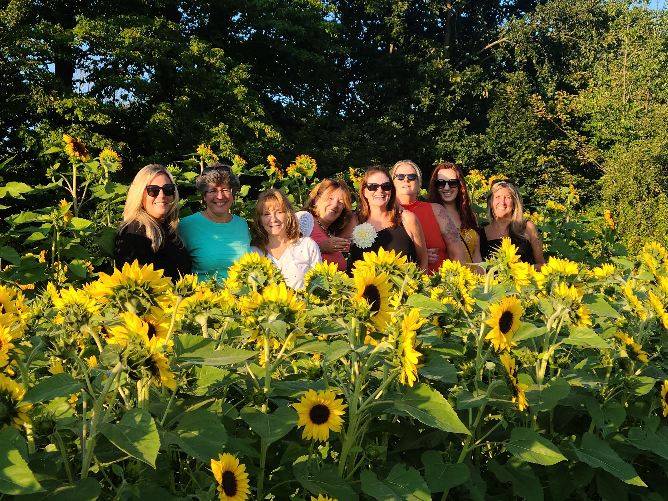 Sunflower Bloom Bar - August 7th